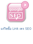 video-คลิปสร้างเว็บไซต์-seo-page-name